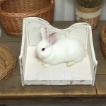 Wooden Pet Bed Supplier - Distressed White Small Animal