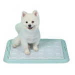 Car Shelter Factory - All-weather Galvanized