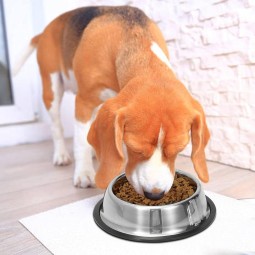 Stainless Bowls Factory - Premium Quality Anti-Slip