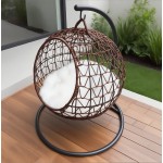 Pet Carrier Manufacturer - New Design Solid Plastic