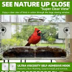 Bird Feeder Factory - Outdoor Clear Self-Adhesive