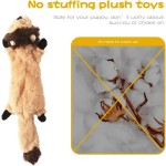 Chew Toy Manufacturer - Tough Durable No Stuffing