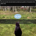 Potty Pad Supplier - Leak-Proof Quick-Dry