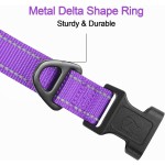 Retractable Leash Manufacturer - Automatic 5m Nylon