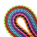 Dog Leash Factory - Nylon D-Ring Walking