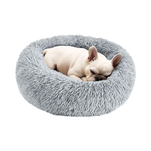 Orthopedic Bed Manufacturer - Extra Large Memory