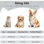 Orthopedic Bed Manufacturer - Extra Large Memory