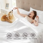 Pillow Case Factory - Satin Smooth Soft