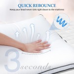 Mattress Topper Factory - Hotel Anti-Dirt