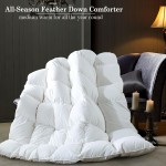 Alternative Duvet Supplier - All Season Quilted