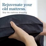 Duck Down Supplier - Feather Cotton Soft