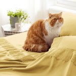 Independence Pillow Supplier - Red Blue Striped