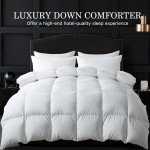 Alternative Duvet Supplier - All Season Quilted