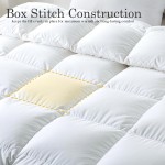 Alternative Duvet Supplier - All Season Quilted