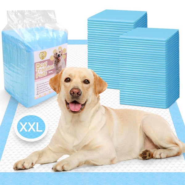 Puppy Training Pad Factory - Factory Direct 6 Layer