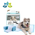Dog Urinal Pad Supplier - Luxury 6 Layer Absorbent