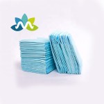 Dog Training Pad Factory - Waterproof Non Slip