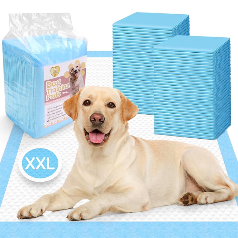 Pet Pee Pad Supplier - Wholesale Super Absorbent