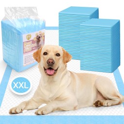Pet Training Pad Supplier - Absorbent Paper Diaper