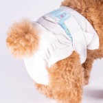 Pet Diapers Supplier - Professional Super Absorbent
