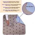 Pet Training Pad Supplier - Custom Multi-color