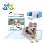 Pet Toilet Mat Supplier - China Supply Wholesale