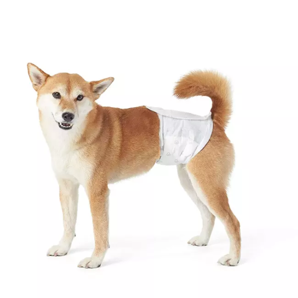 Dog Diapers Manufacturer - S M L XL Absorbent
