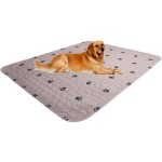 Pet Training Pad Supplier - Custom Multi-color