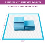 Dog Training Pad Manufacturer - OEM 6 Layer Leak