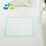 Adult Care Pads Supplier - 2025 Wholesale Leak