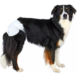 Male Dog Diaper Supplier - Customized Disposable