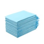 Pet Toilet Mat Supplier - China Supply Wholesale
