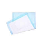 Biodegradable Pad Factory - Free Sample Plant