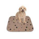 Puppy Training Pad Supplier - Customized Washable