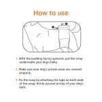 Pet Diaper Factory - Factory Wholesale Waterproof