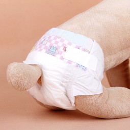 Pet Panales Factory - China Factory Wholesale