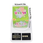 Slime Kit Manufacturer - OEM Frog Slime DIY Kit