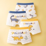 Boys Underwear Factory - Wholesale Boxer Shorts