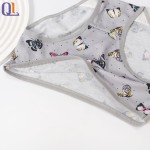 Girls Briefs Factory - Comfort Butterfly Print