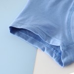 Cotton Underwear Supplier - Wholesale Solid Color