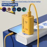 Wall Charger Factory - Custom 120W 2-Port Fast Charger