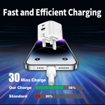 Wall Charger Manufacturer - OEM 20W Dual Port Fast Charger