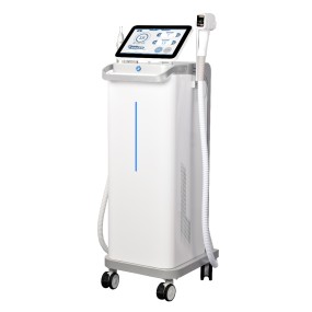 Picosecond Multifunctional Nd Yag Tattoo Removal 810nm Laser Hair Removal Machine Q Switched 2-in-1 for Face with US Plug