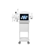 Factory Price 6 in 1 Facial Care Machine for Beauty Salon