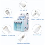 2025年最新畅销书6/7/8合一Aqua去皮H202氧气面膜机带Led面膜