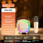 Karaoke Microphone Manufacturer - HOT SALE Handheld