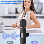 BT Microphone Supplier - 2in1 Bt K9 Wireless