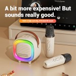 Karaoke Microphone Manufacturer - HOT SALE Handheld