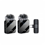 Wireless Microphone Manufacturer - Portable Dual Mini