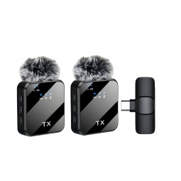 Wireless Microphone Manufacturer - Portable Dual Mini